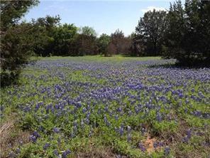 Lot 5-a Ridge Harbor Drive Spicewood TX 78669