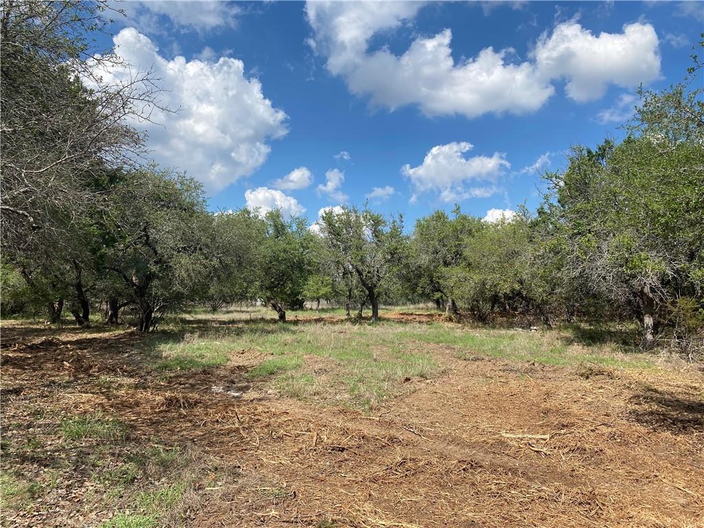 33400 Brooks Ranch Road Austin TX 78620