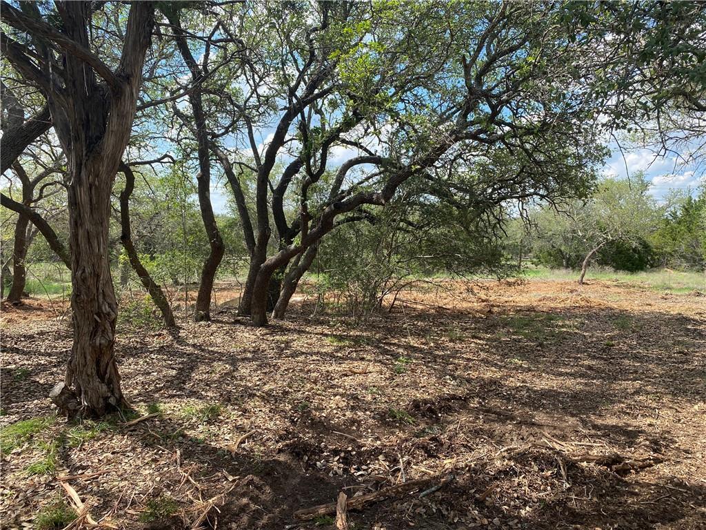 33400 Brooks Ranch Road Austin TX 78620