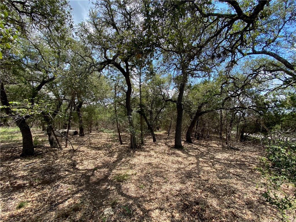 33400 Brooks Ranch Road Austin TX 78620