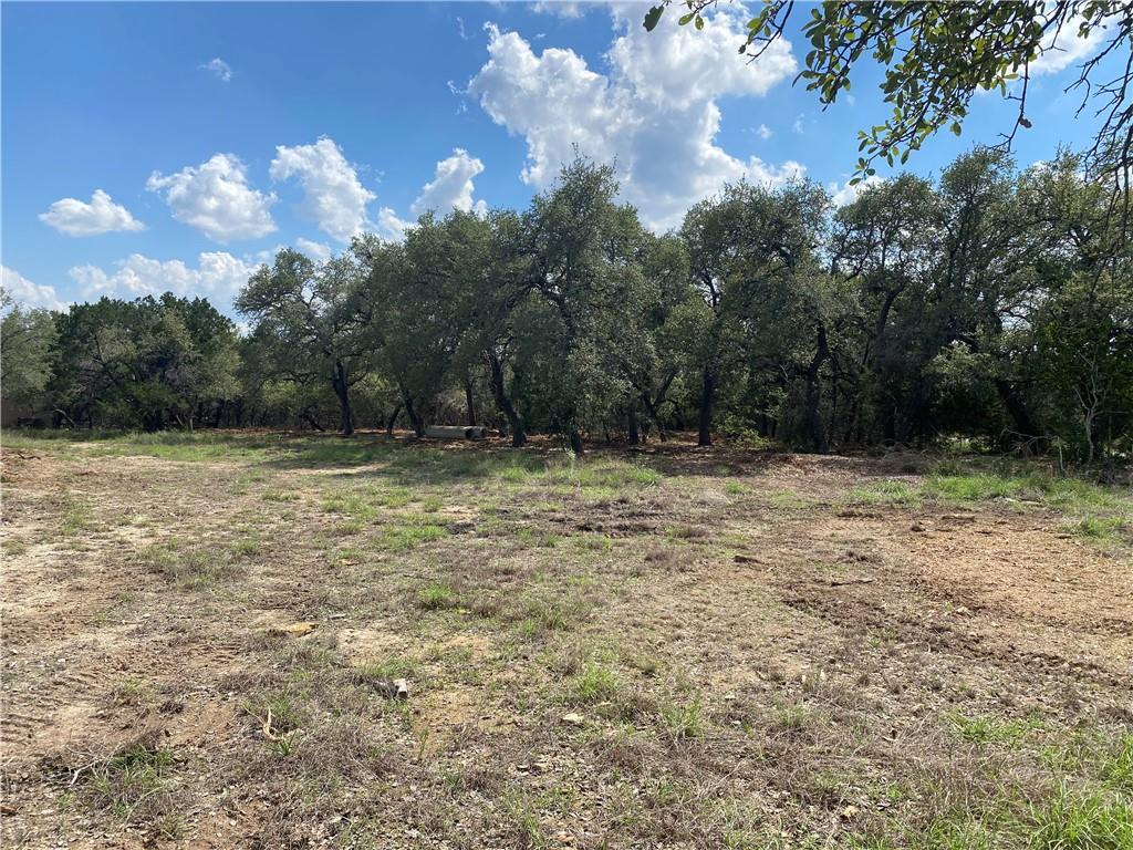 33400 Brooks Ranch Road Austin TX 78620