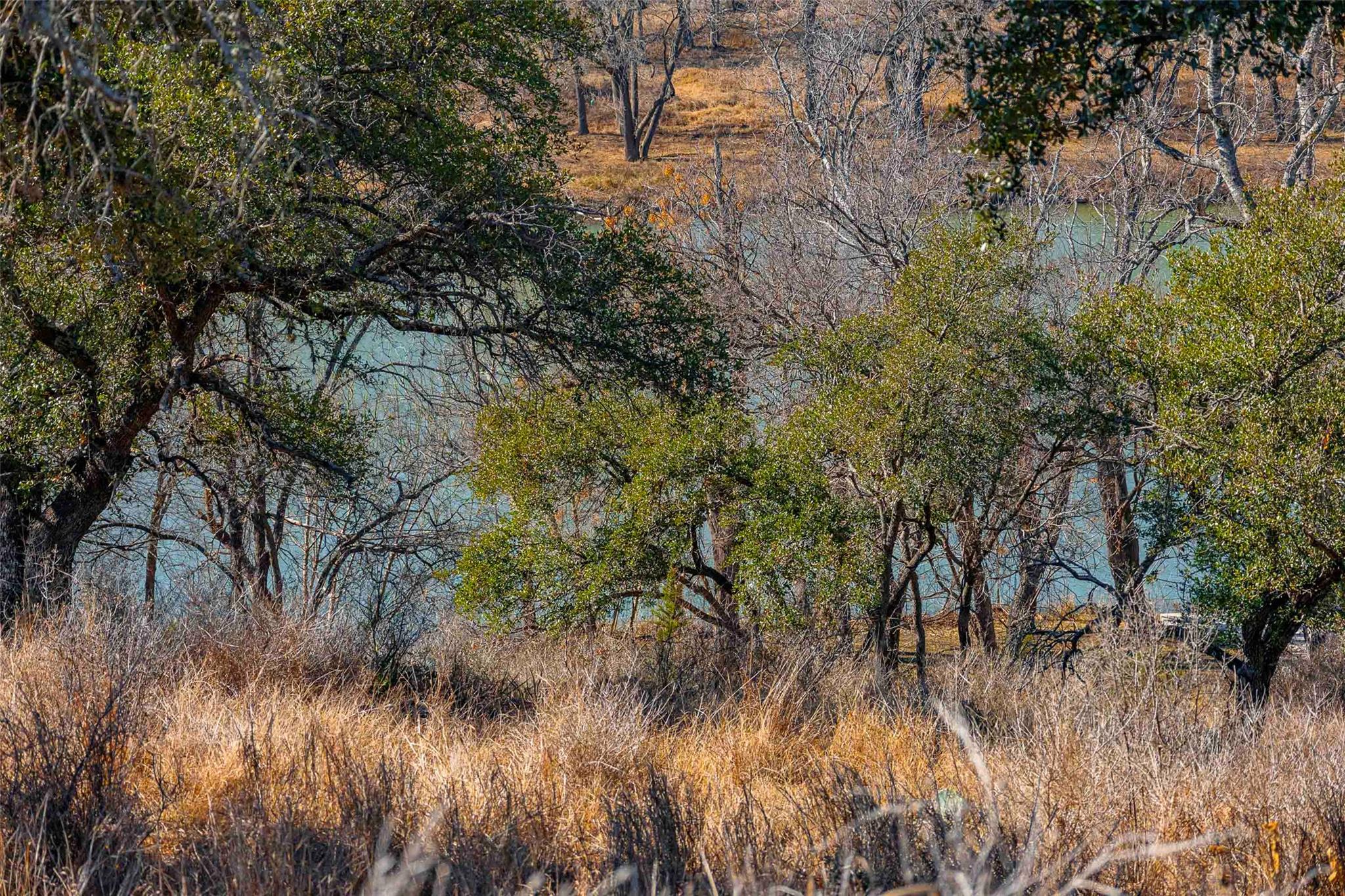 000 River Place Johnson City TX 78636