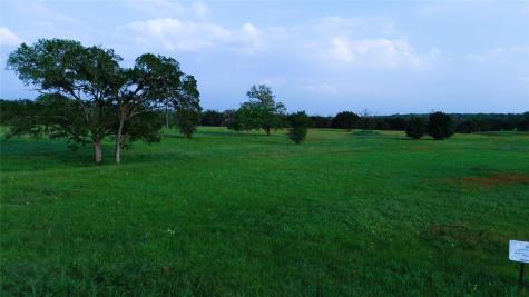 320 S Waterbuck Way Lampasas TX 76550