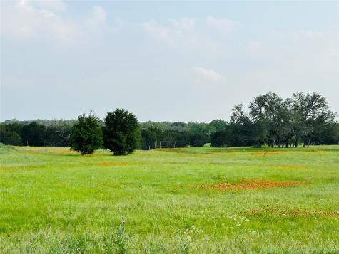 320 S Waterbuck Way Lampasas TX 76550