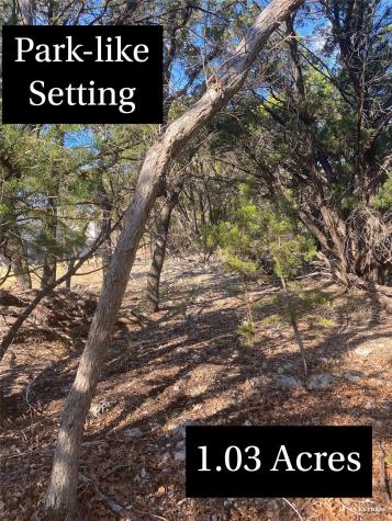 17601 Hunters Hollow Jonestown TX 78645