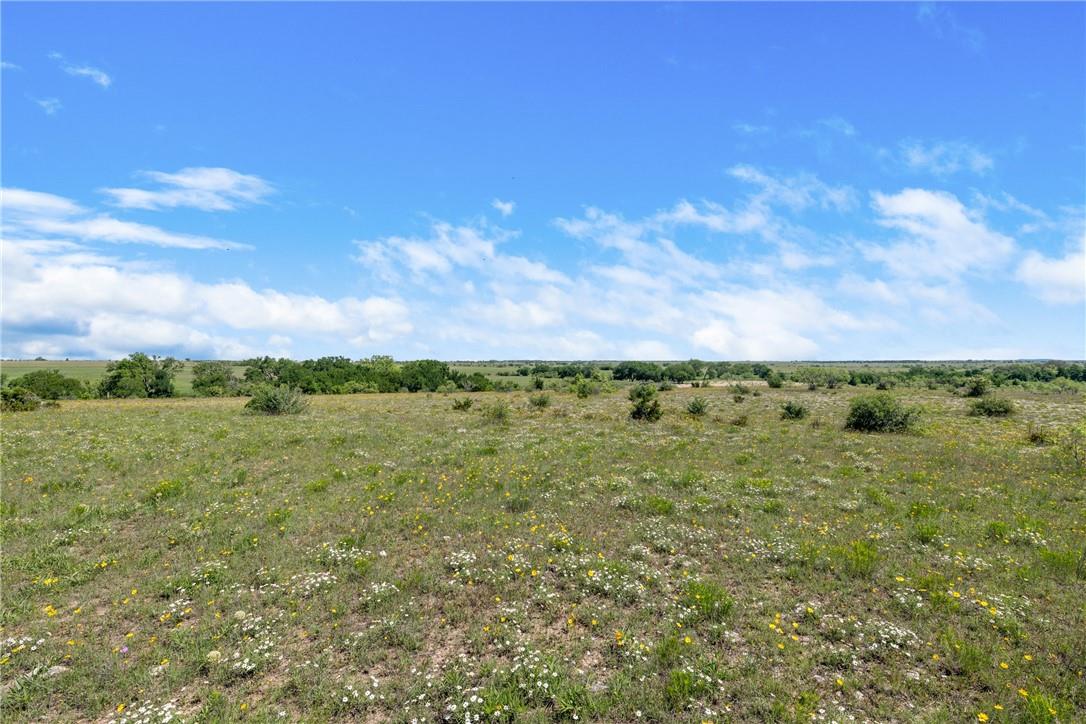 Tbd County Road 276 Liberty Hill TX 78605