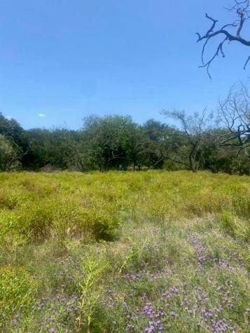 3 Becky Lane Bertram TX 78605