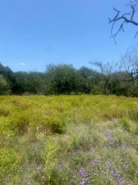 3 Becky Lane Bertram TX 78605