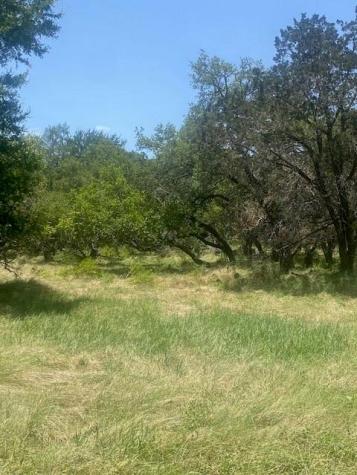 3 Becky Lane Bertram TX 78605