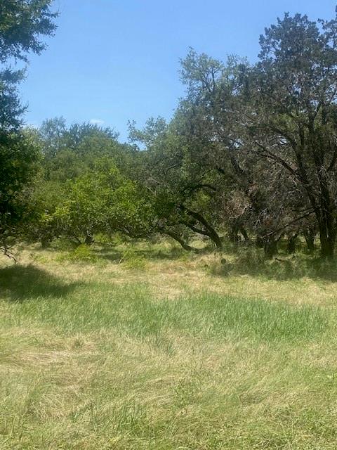 3 Becky Lane Bertram TX 78605