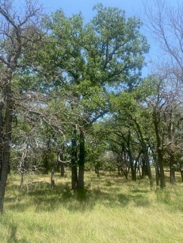 3 Becky Lane Bertram TX 78605