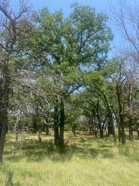 3 Becky Lane Bertram TX 78605