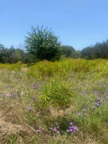 3 Becky Lane Bertram TX 78605