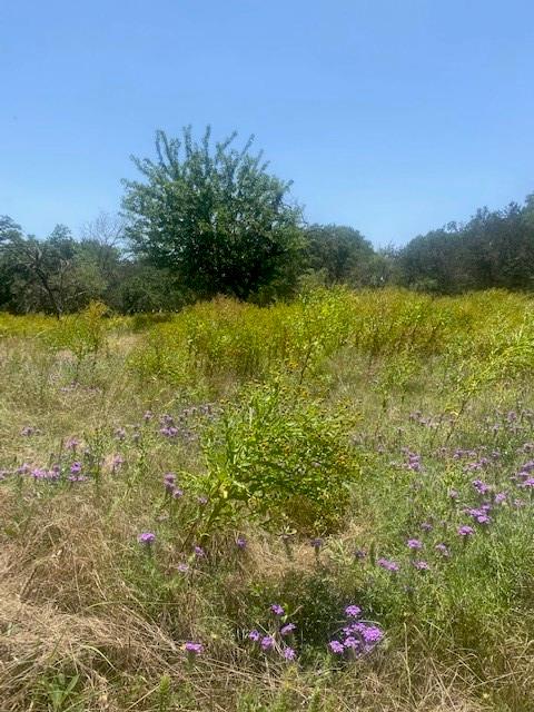 3 Becky Lane Bertram TX 78605