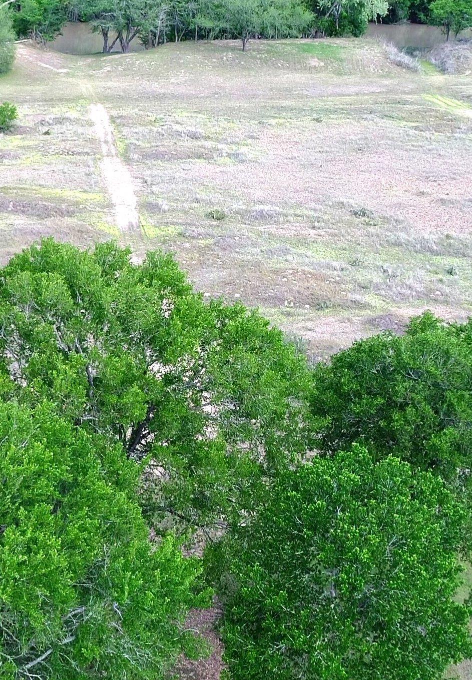 195 Hidden Shores Loop Smithville TX 78957
