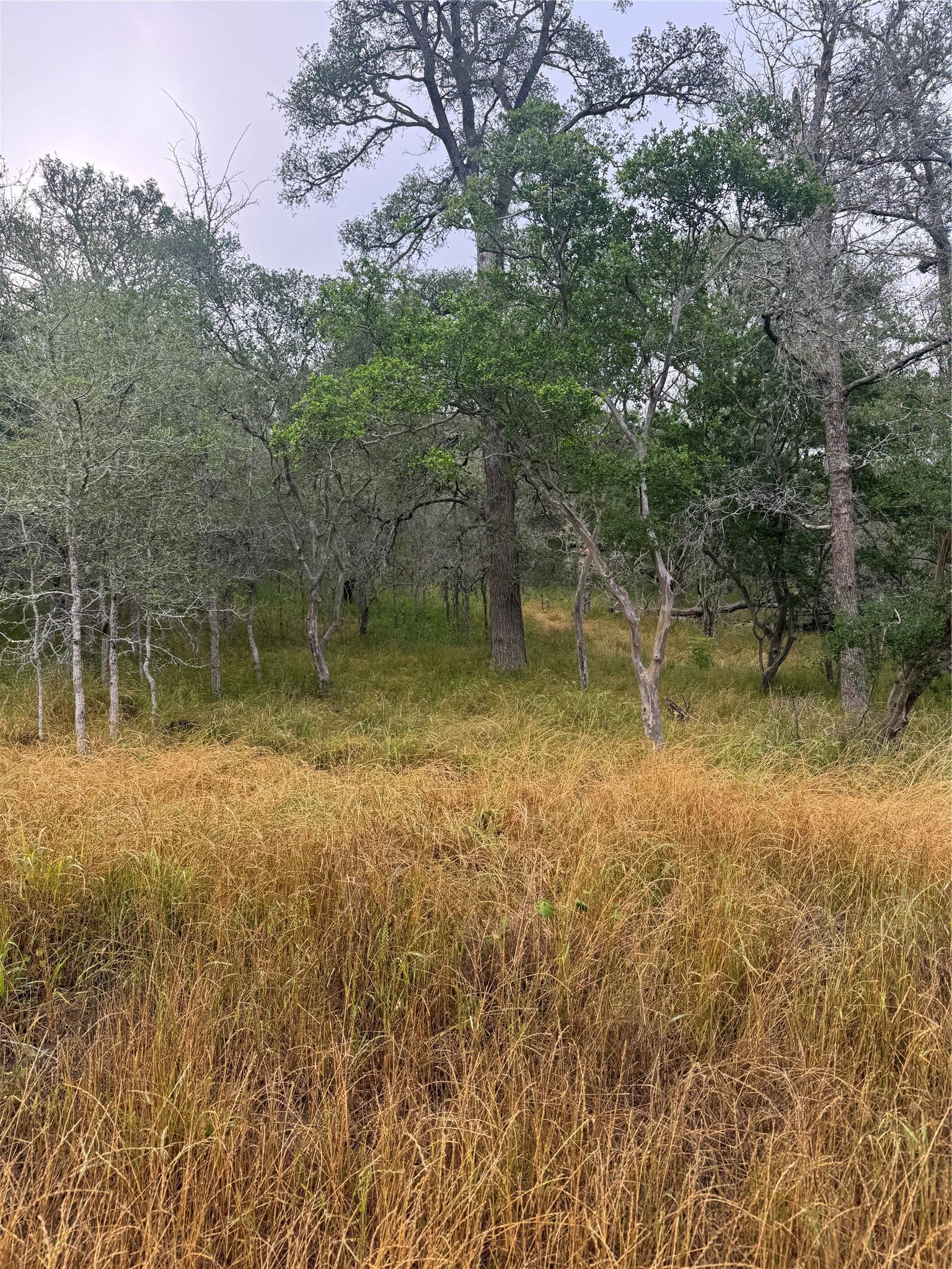 107 Hauula Court Bastrop TX 78602