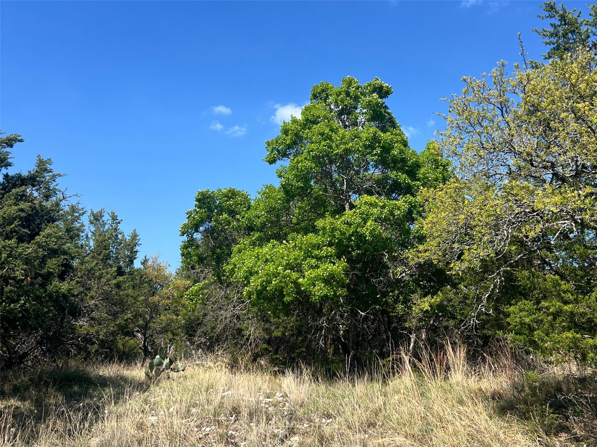 Lot 24 Private Road 3643 Copperas Cove TX 76522
