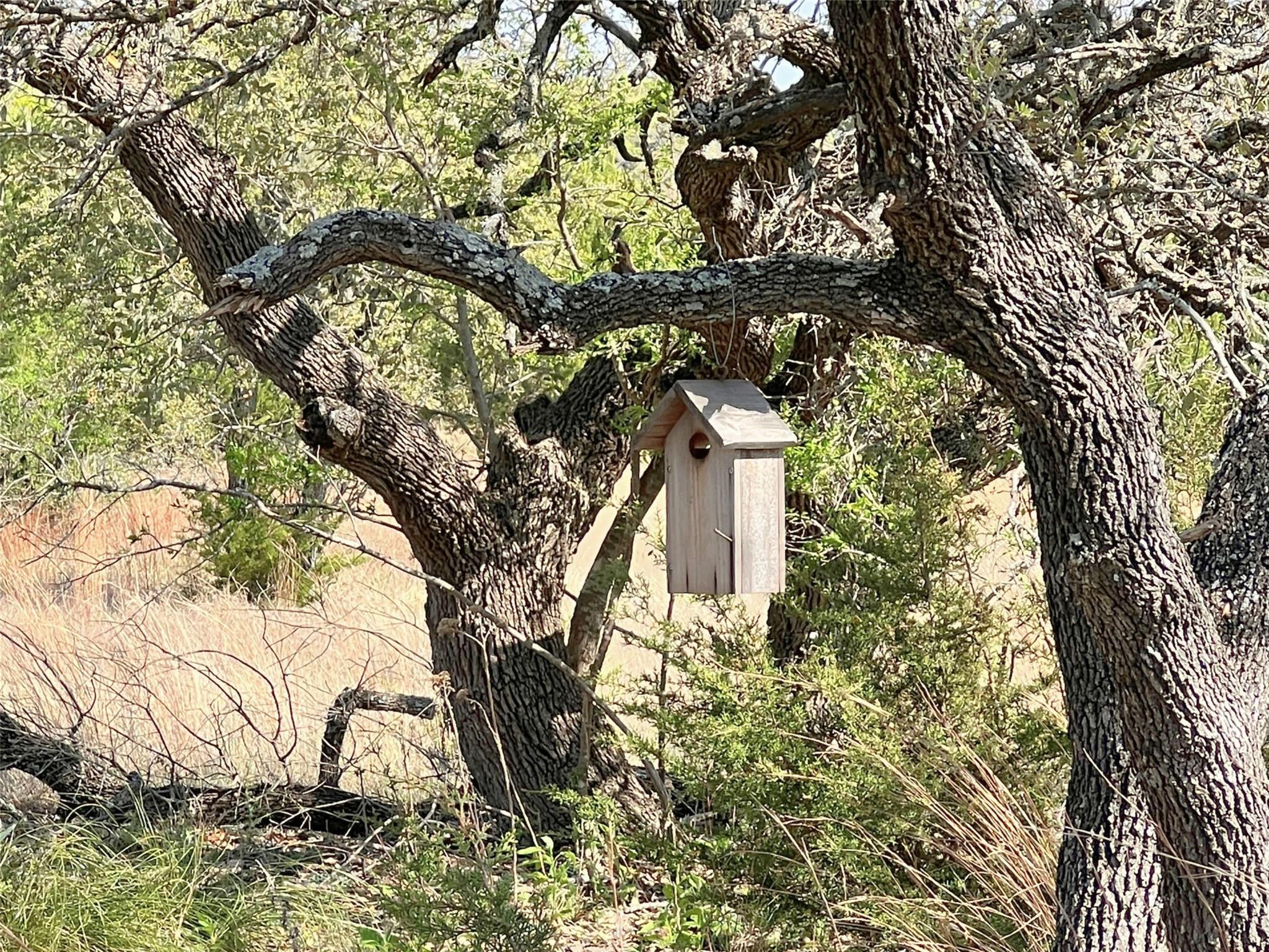 Lot 24 Private Road 3643 Copperas Cove TX 76522