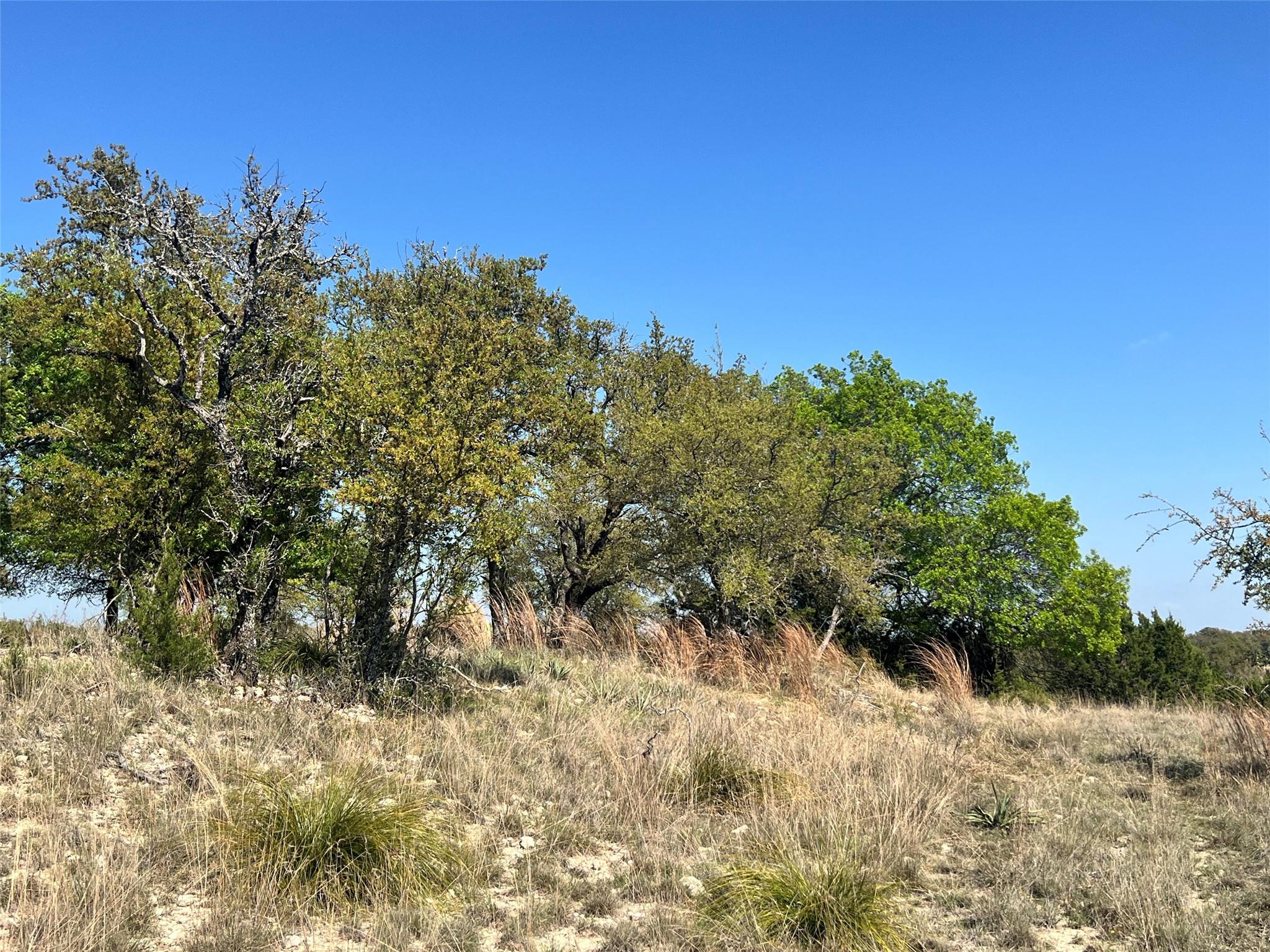 Lot 24 Private Road 3643 Copperas Cove TX 76522