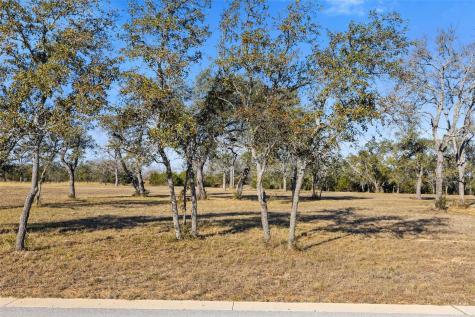167 Mr Charlie Lane Round Mountain TX 78663