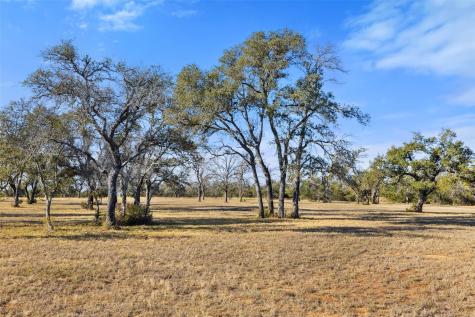 167 Mr Charlie Lane Round Mountain TX 78663