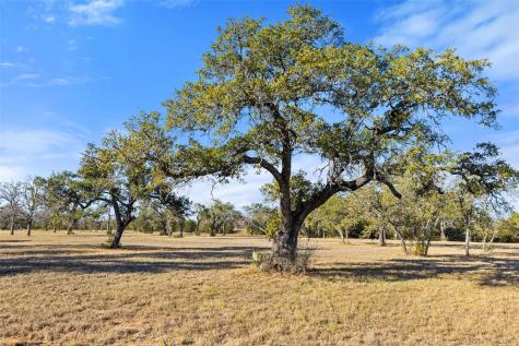 167 Mr Charlie Lane Round Mountain TX 78663