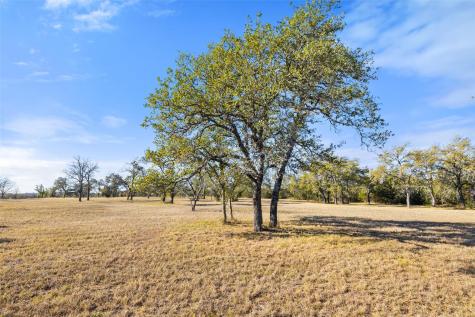 167 Mr Charlie Lane Round Mountain TX 78663