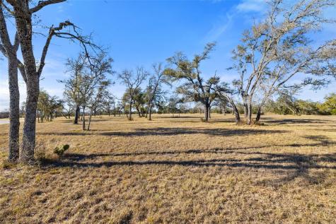 167 Mr Charlie Lane Round Mountain TX 78663