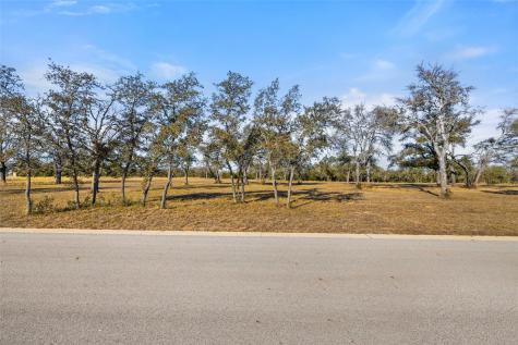 167 Mr Charlie Lane Round Mountain TX 78663
