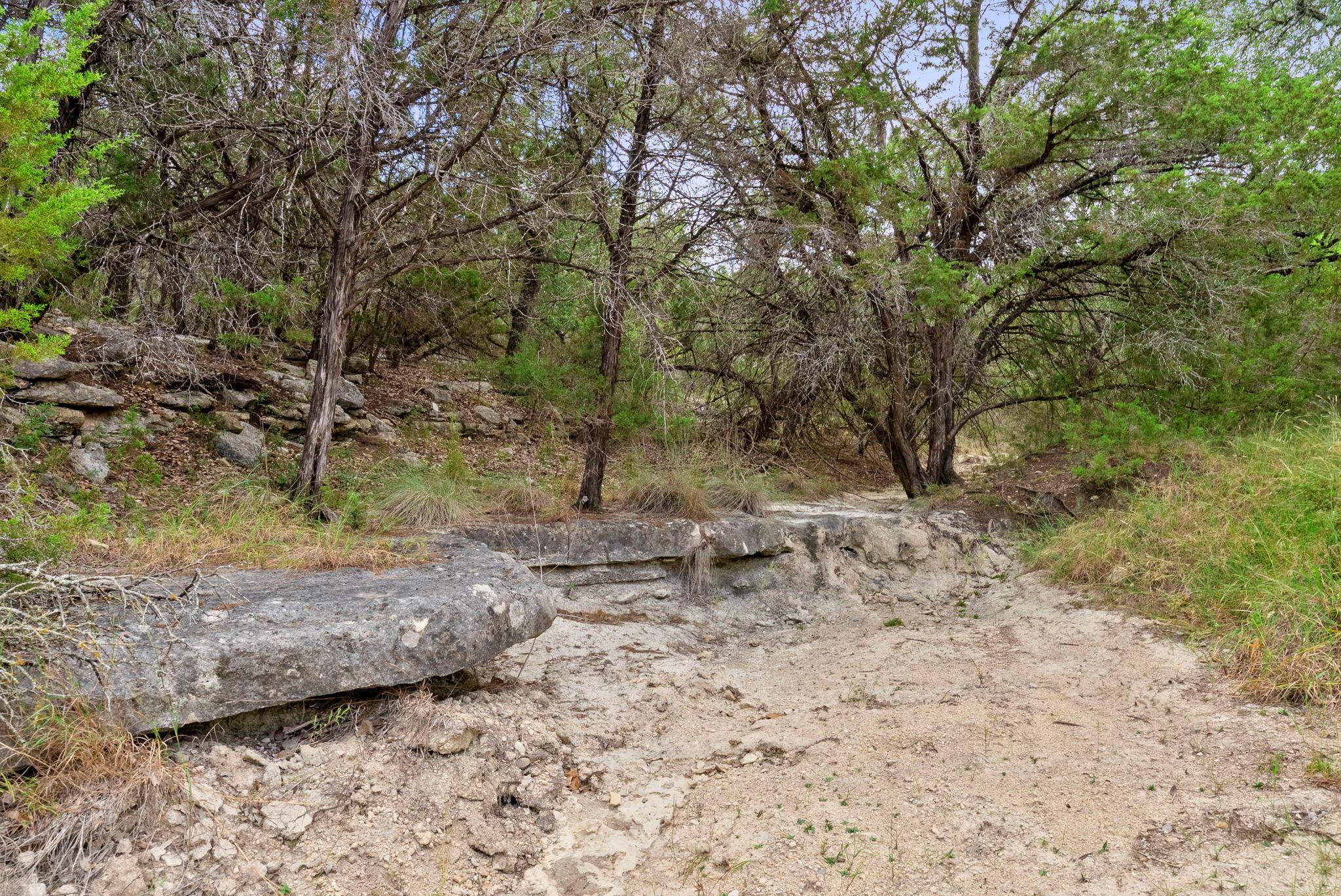 1250 Myers Creek Road Dripping Springs TX 78620