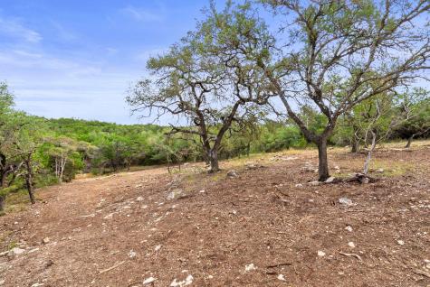 1250 Myers Creek Road Dripping Springs TX 78620