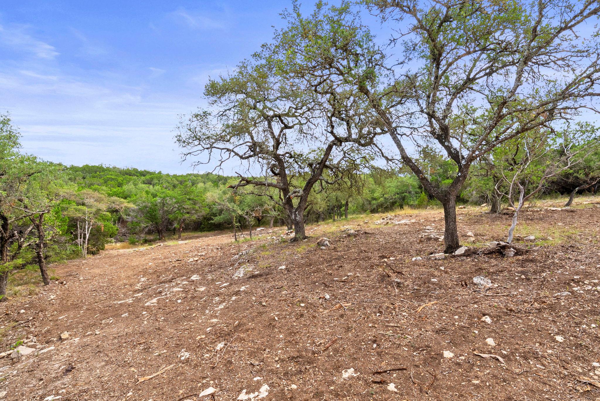 1250 Myers Creek Road Dripping Springs TX 78620