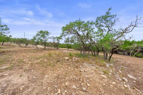 1250 Myers Creek Road Dripping Springs TX 78620
