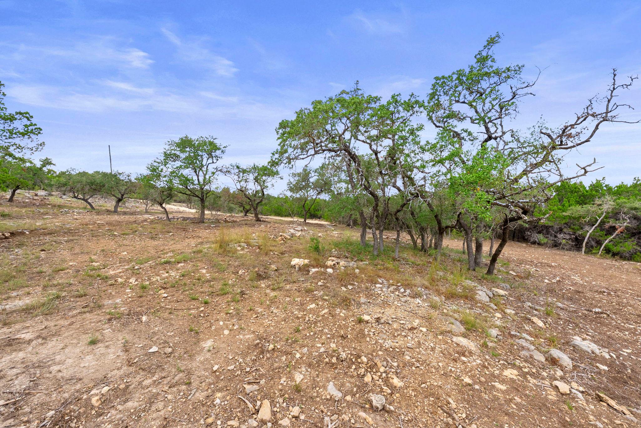 1250 Myers Creek Road Dripping Springs TX 78620