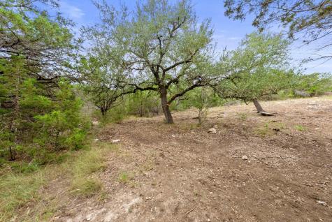 1250 Myers Creek Road Dripping Springs TX 78620