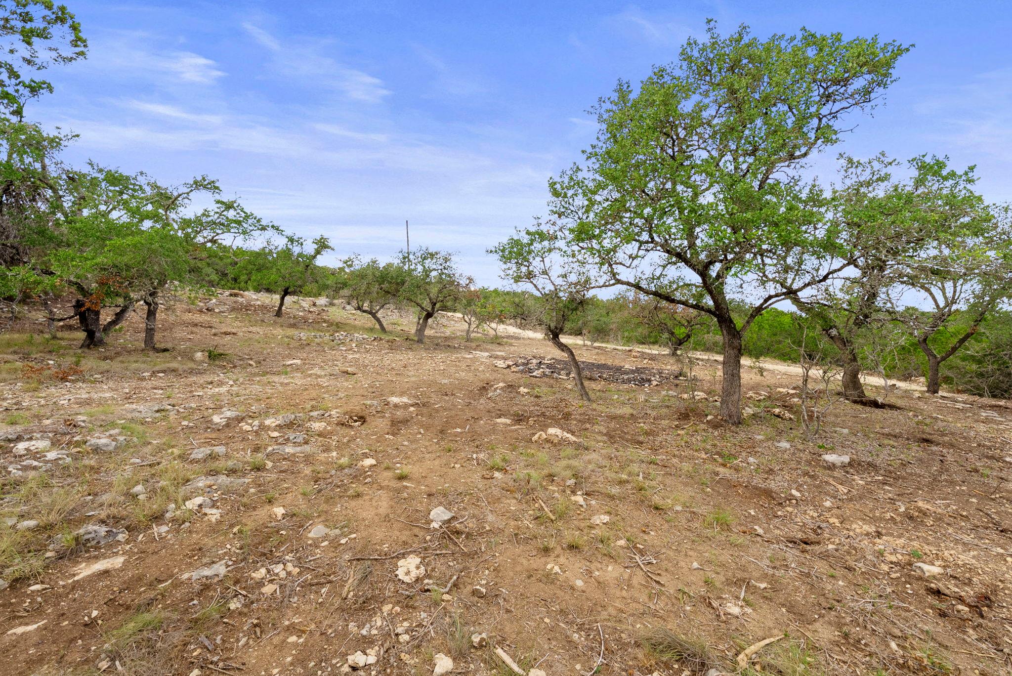 1250 Myers Creek Road Dripping Springs TX 78620