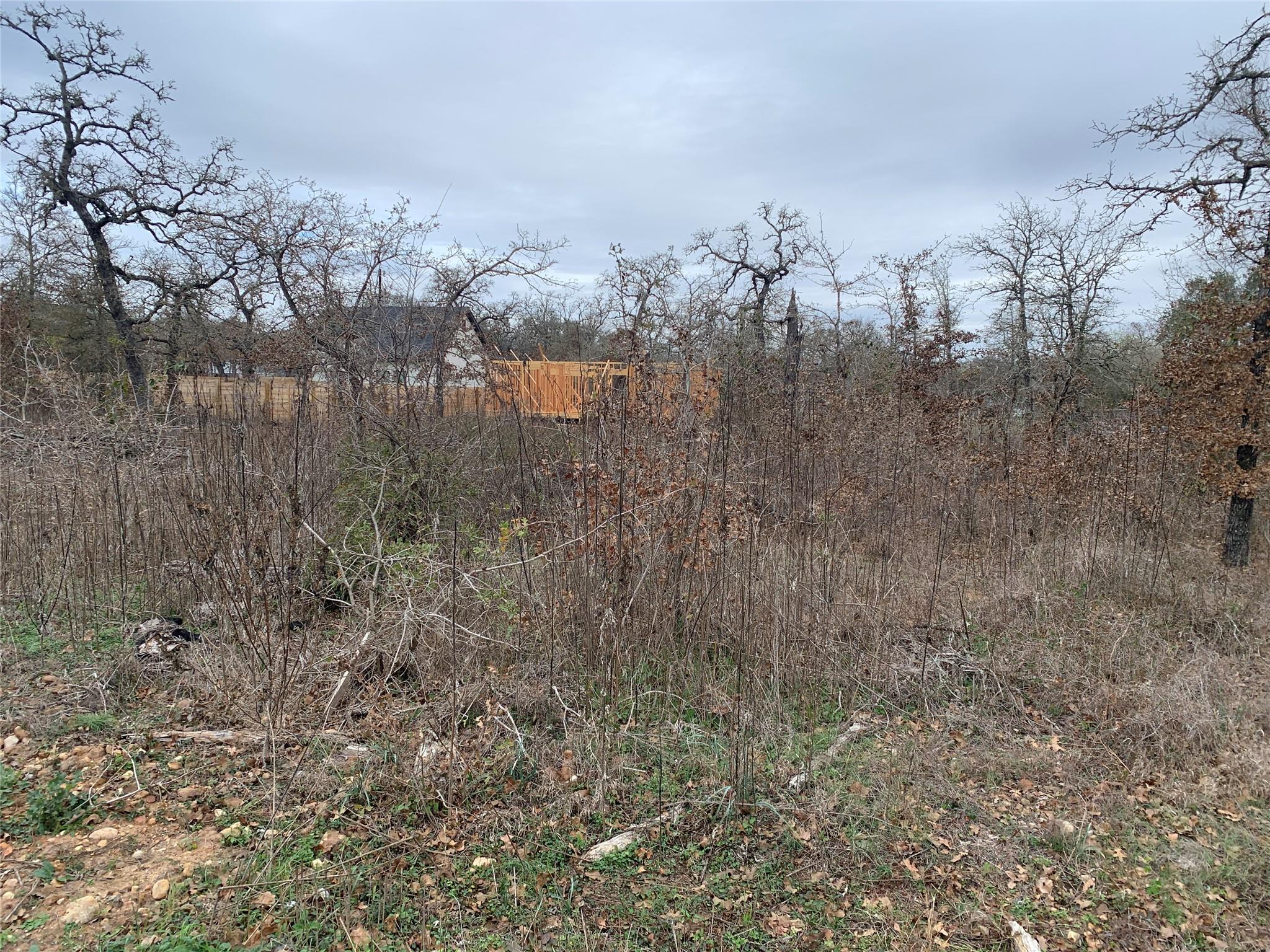 Tbd Chickasaw Smithville TX 78957