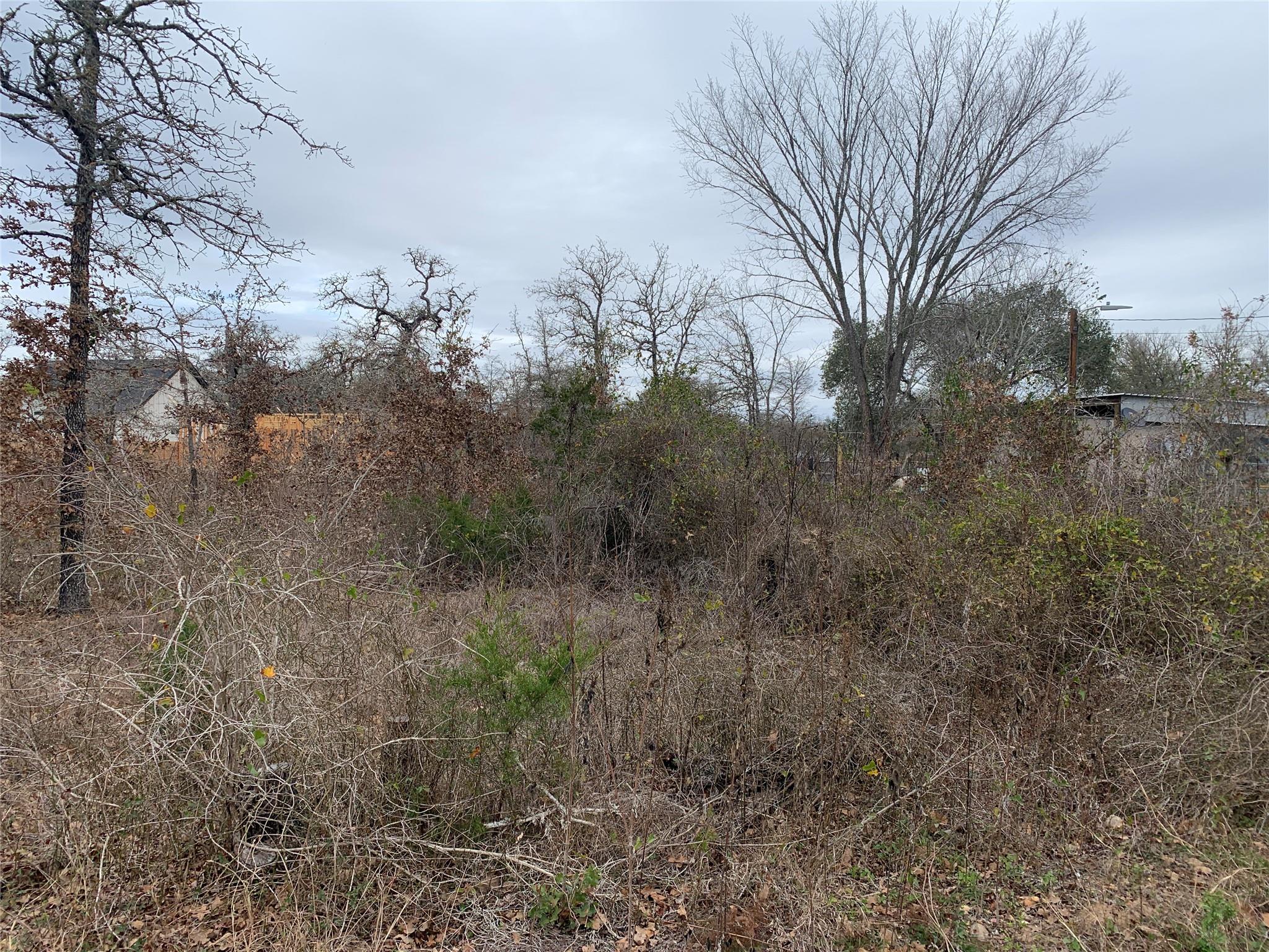 Tbd Chickasaw Smithville TX 78957