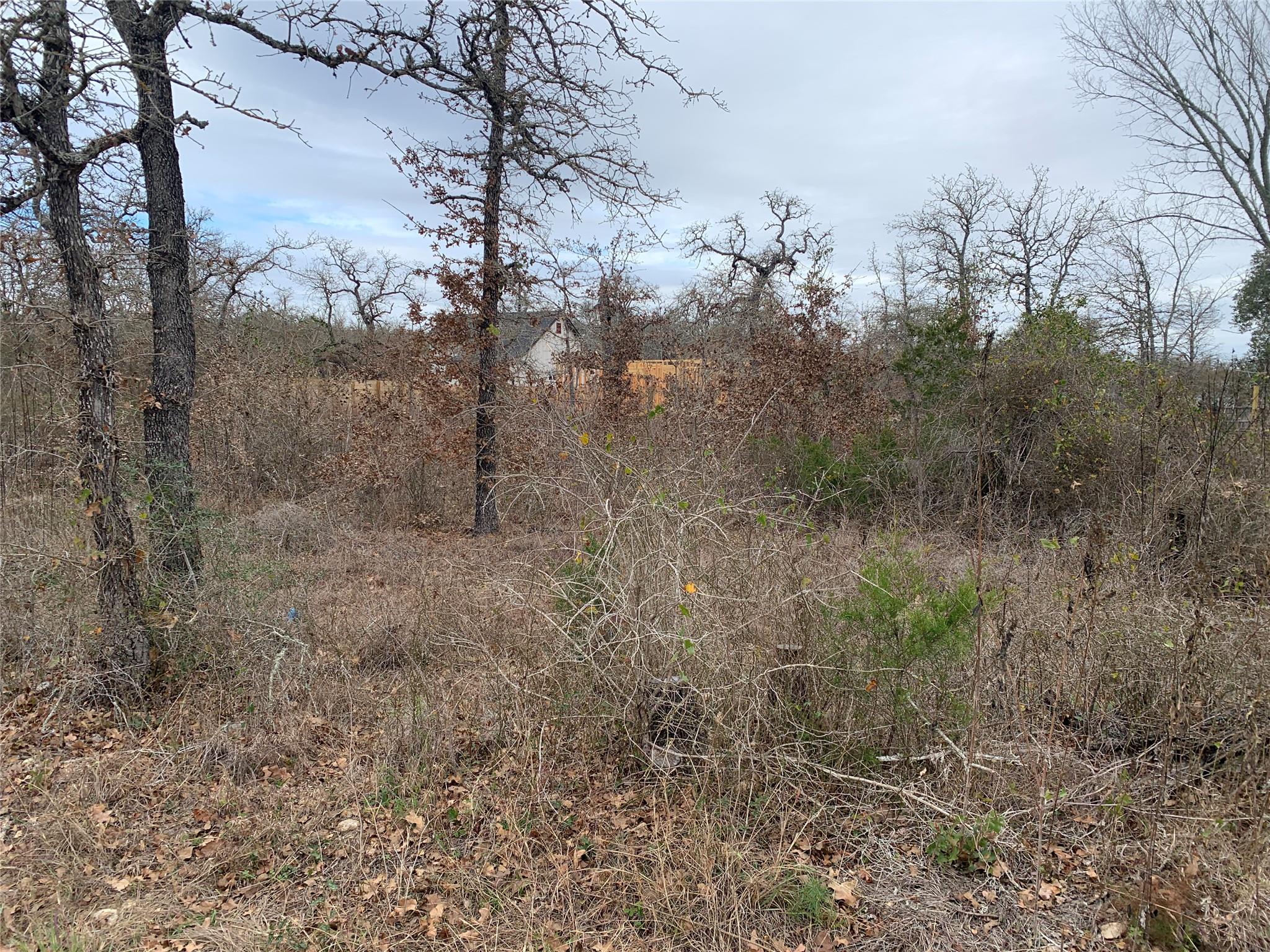 Tbd Chickasaw Smithville TX 78957