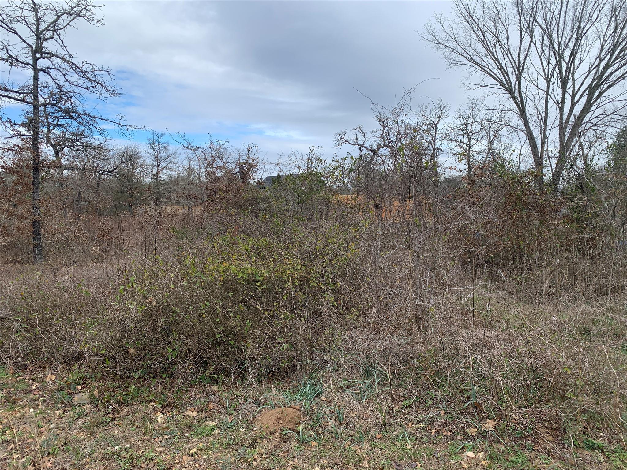 Tbd Chickasaw Smithville TX 78957