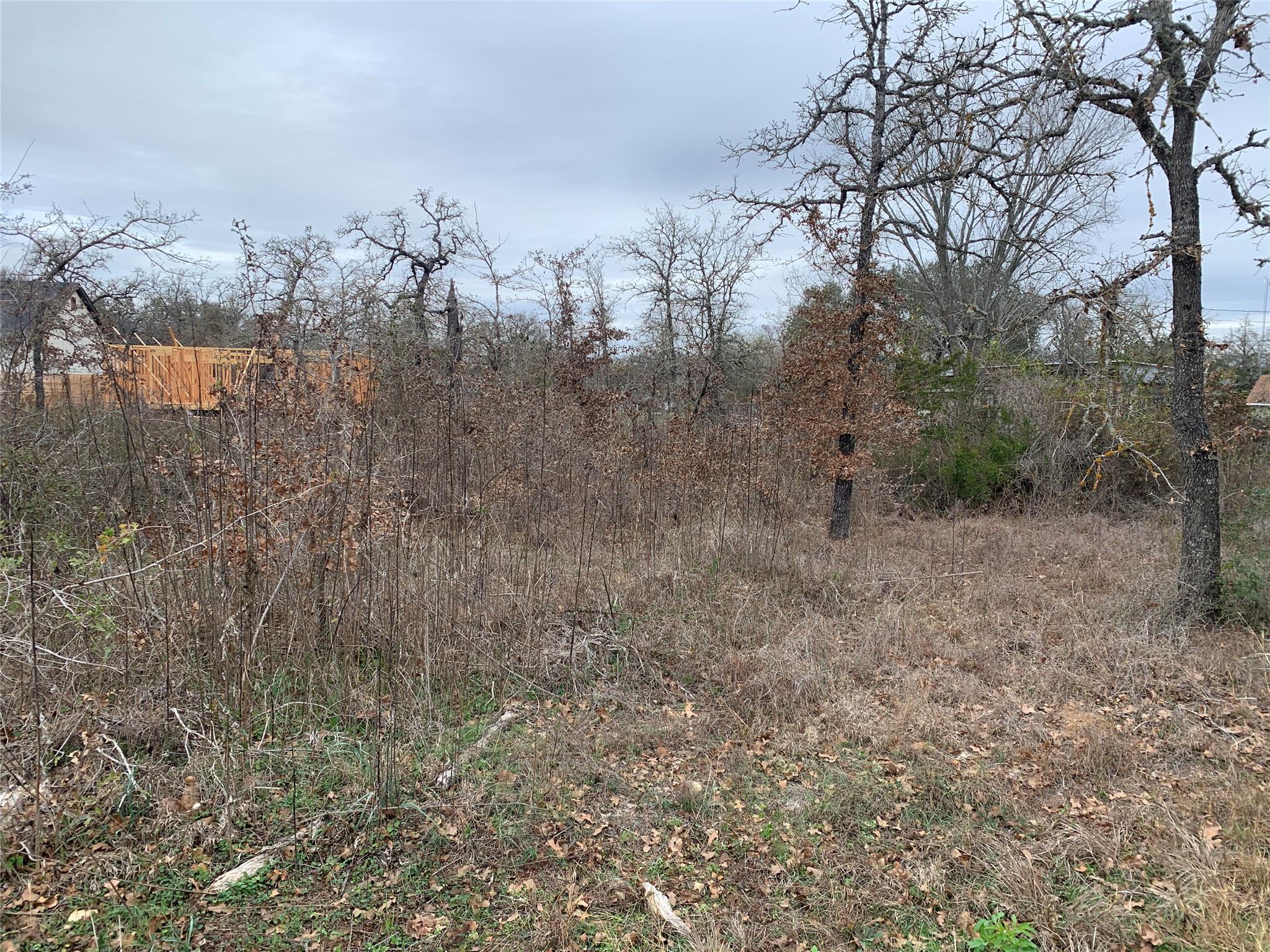 Tbd Chickasaw Smithville TX 78957