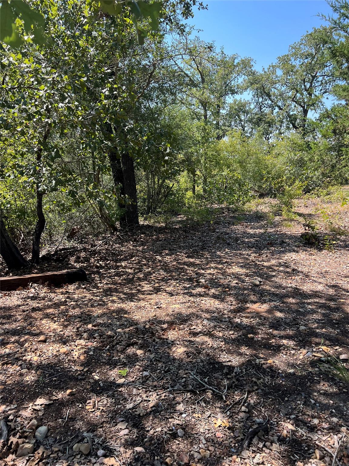 Tbd Lakeshore Road Bastrop TX 78602