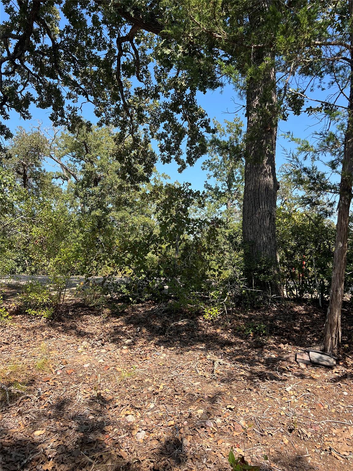 Tbd Lakeshore Road Bastrop TX 78602