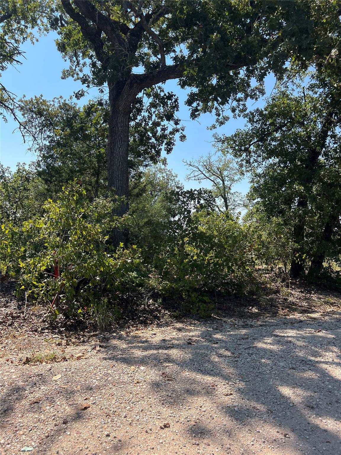 Tbd Lakeshore Road Bastrop TX 78602