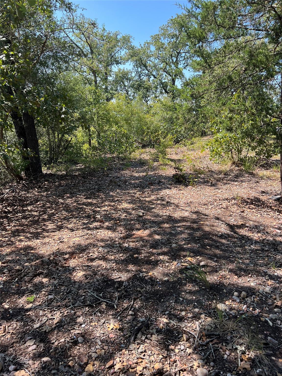 Tbd Lakeshore Road Bastrop TX 78602