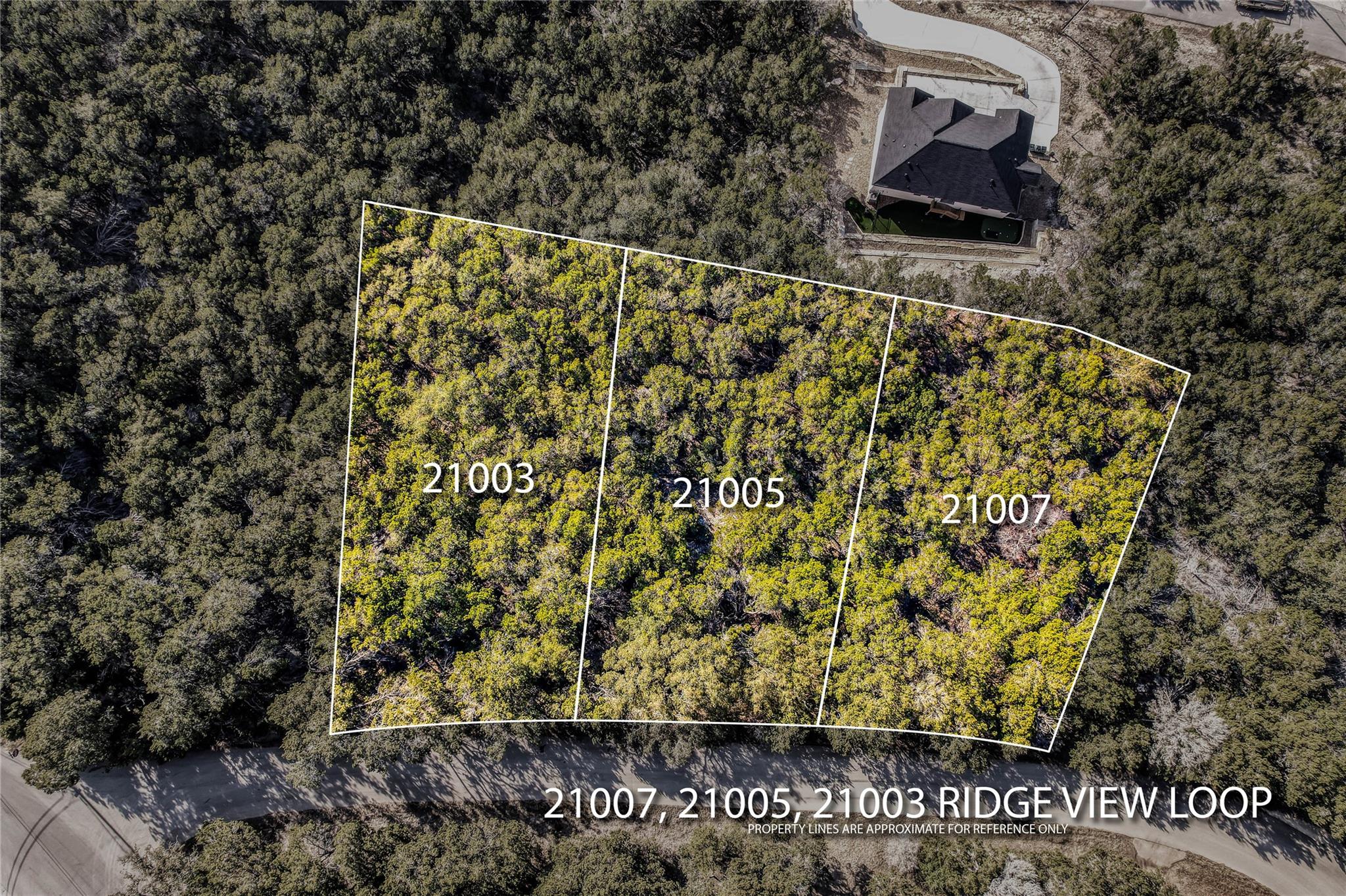 21007 Ridgeview Loop Lago Vista TX 78645