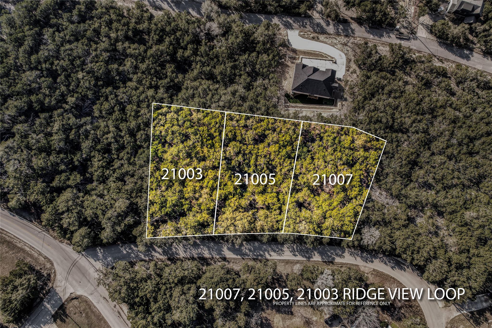 21007 Ridgeview Loop Lago Vista TX 78645