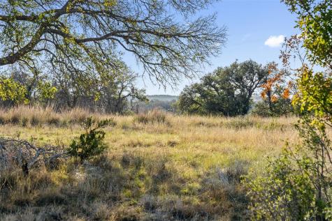 Lot 91 Axis Circle Fredericksburg TX 78624