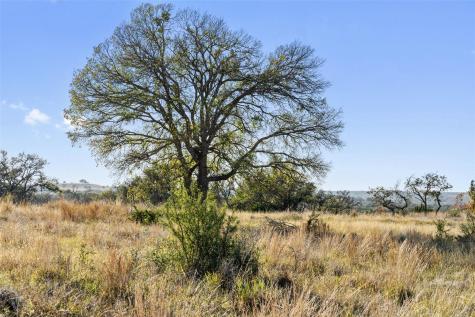 Lot 91 Axis Circle Fredericksburg TX 78624