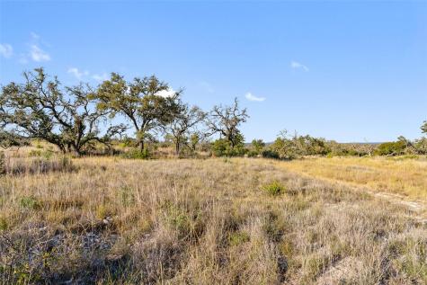 Lot 91 Axis Circle Fredericksburg TX 78624
